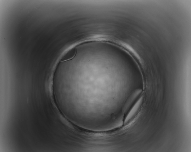 X0000088381421200705291339