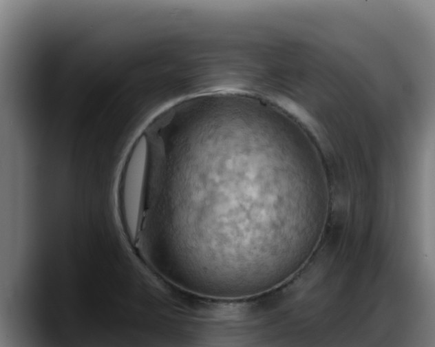 X0000088381423200705291339