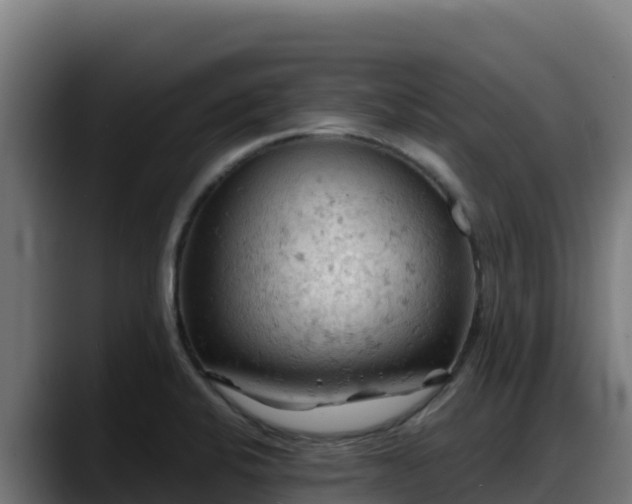 X0000088381424200705291339