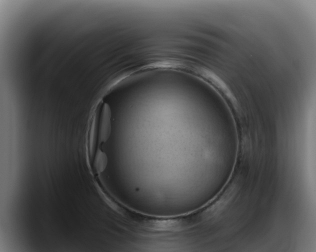 X0000088381425200705291339