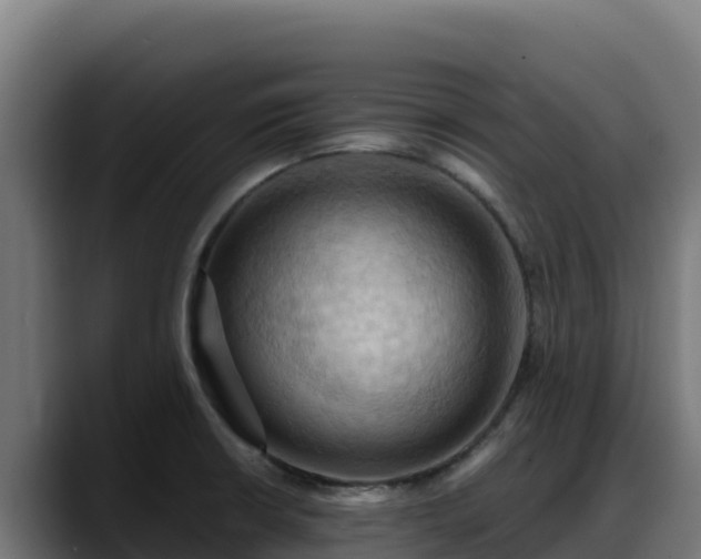 X0000088381426200705291339