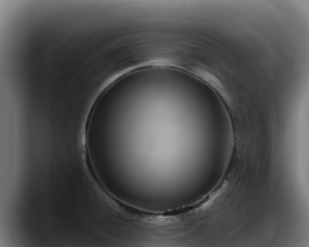 X0000088381428200705291339