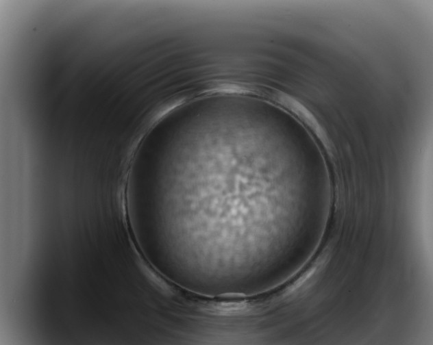 X0000088381433200705291339