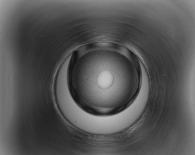X0000088381434200705291339