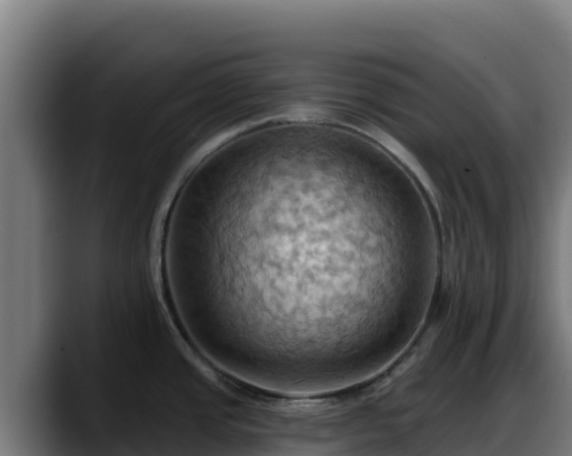 X0000088381437200705291339