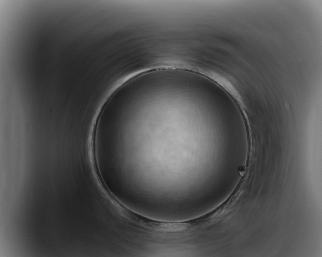X0000088381440200705291339