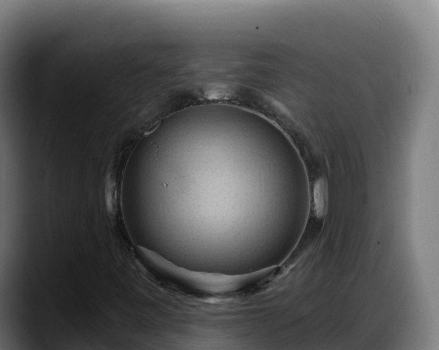 X0000088381443200705291338