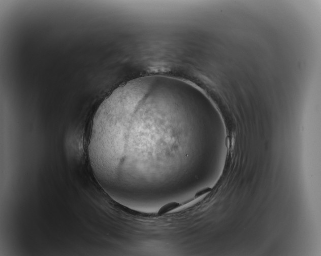 X0000088381444200705291338