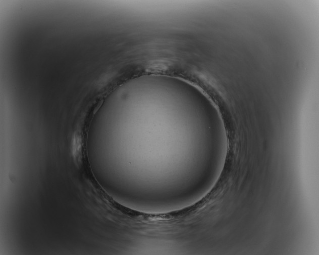 X0000088381445200705291338