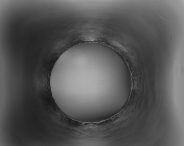 X0000088381446200705291338