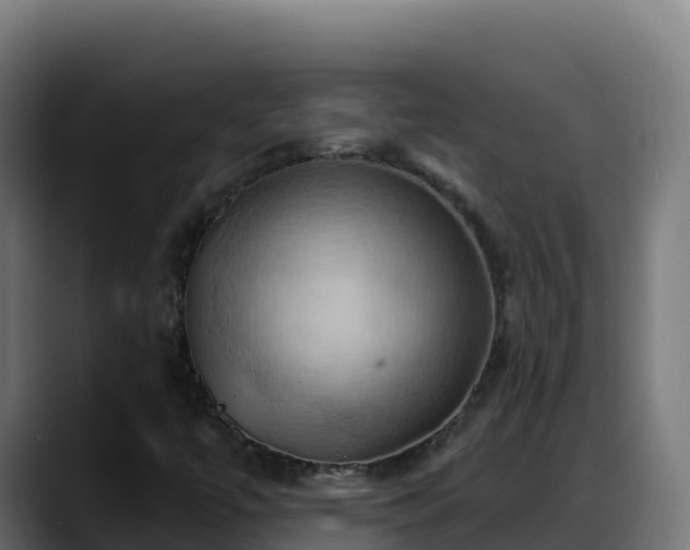 X0000088381447200705291338