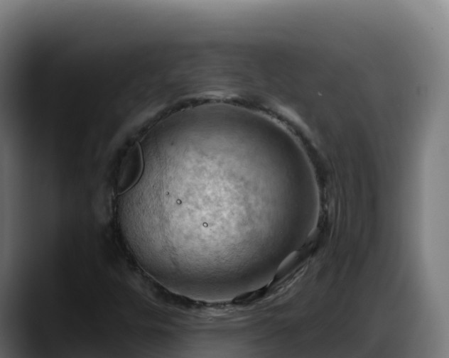 X0000088381448200705291338
