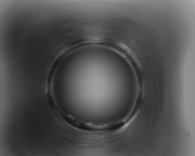 X0000088381449200705291338