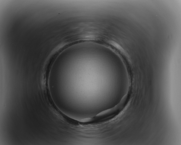 X0000088381450200705291338