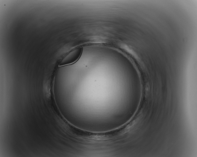 X0000088381451200705291338