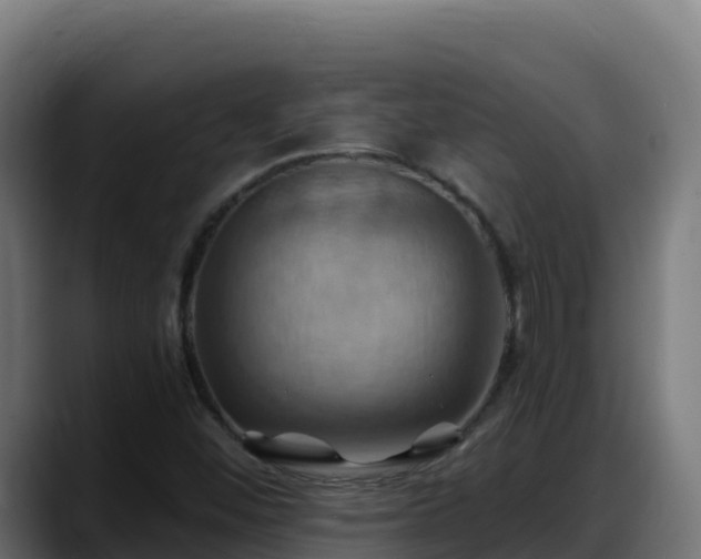 X0000088381452200705291338