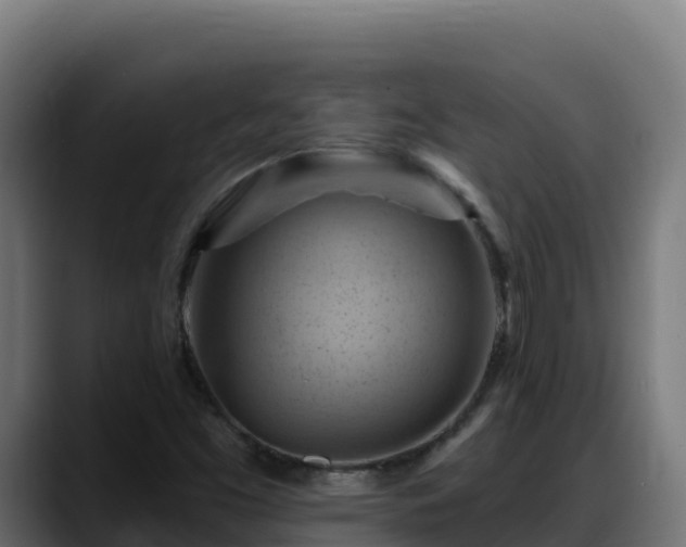 X0000088381453200705291338