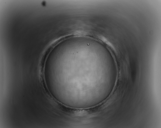 X0000088381454200705291338