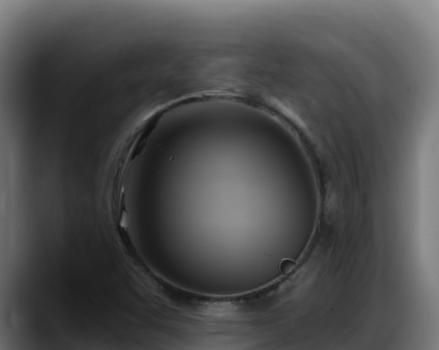 X0000088381455200705291338