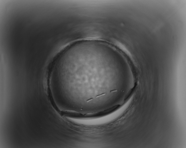 X0000088381456200705291338