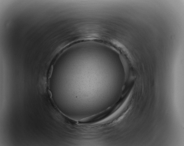 X0000088381457200705291338