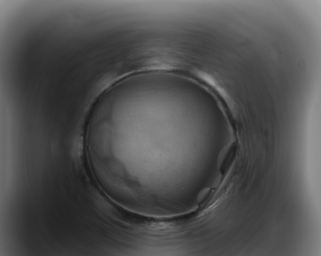 X0000088381459200705291338