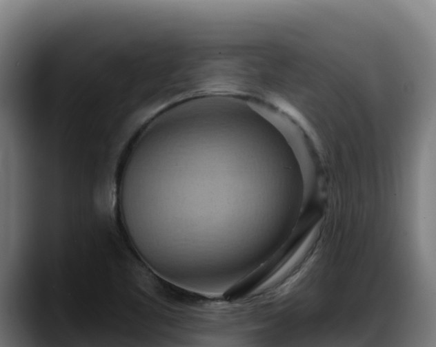 X0000088381461200705291338