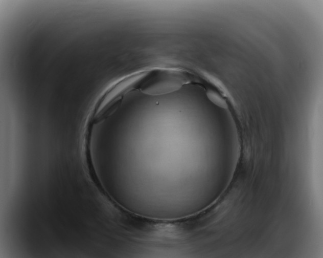 X0000088381463200705291338