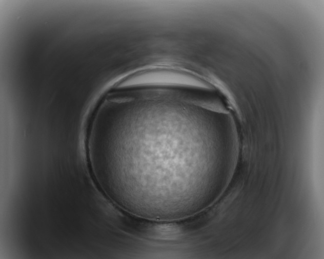 X0000088381464200705291338