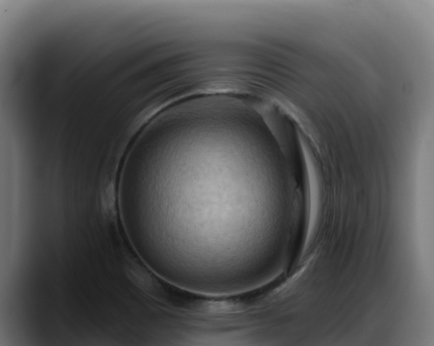 X0000088381465200705291338