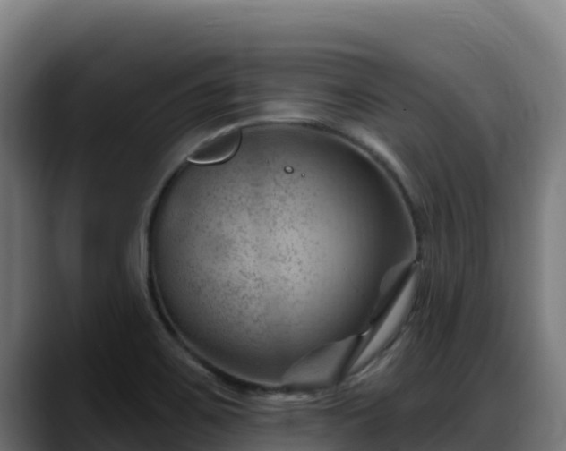 X0000088381467200705291338