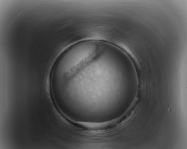 X0000088381468200705291338