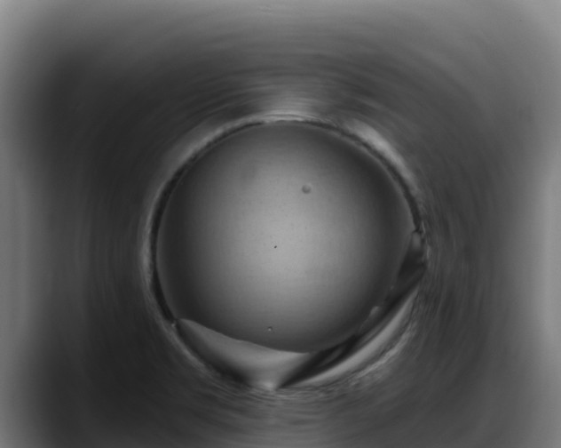 X0000088381469200705291338