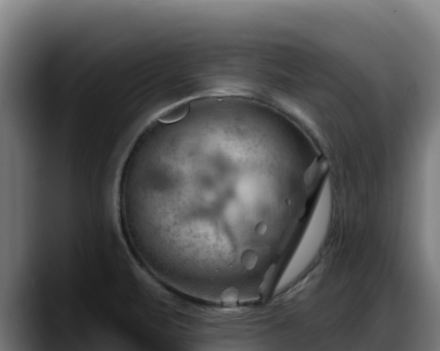 X0000088381471200705291338