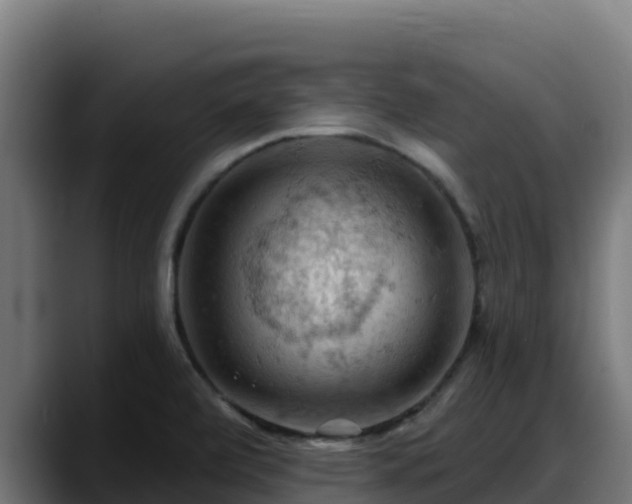 X0000088381472200705291338