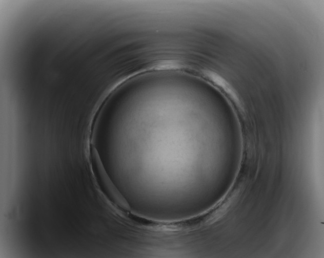 X0000088381473200705291338