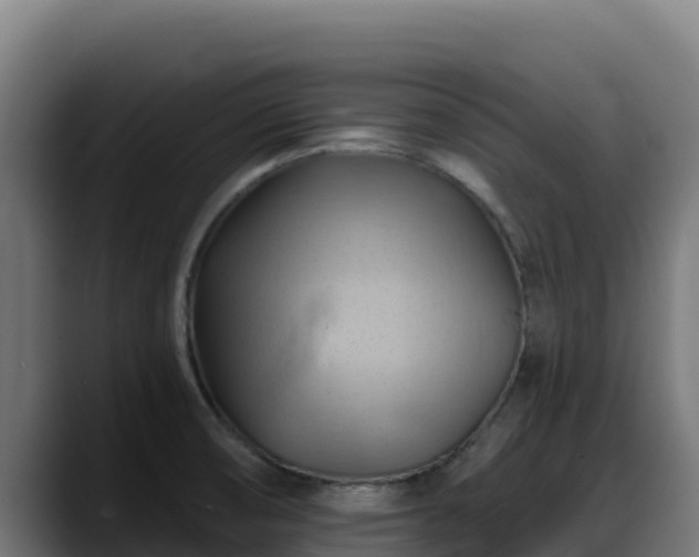 X0000088381474200705291338