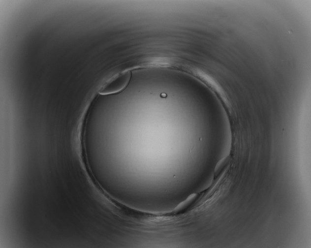 X0000088381475200705291338