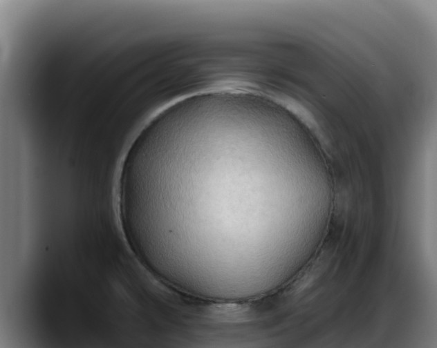X0000088381478200705291338