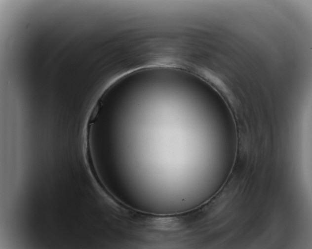 X0000088381479200705291338