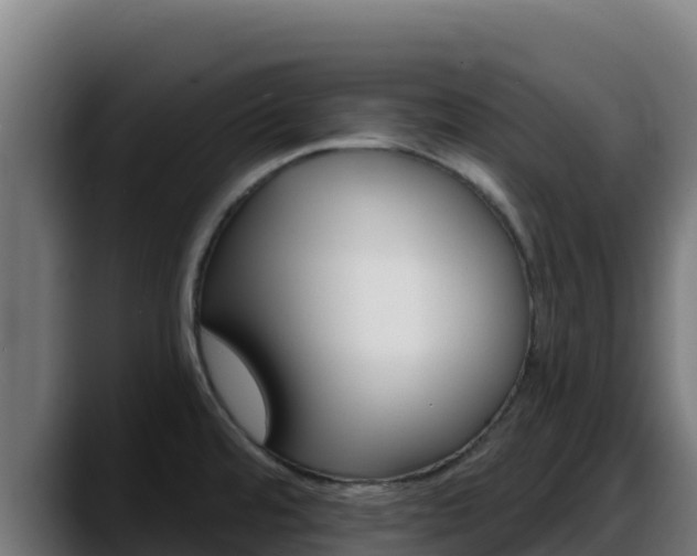 X0000088381480200705291338