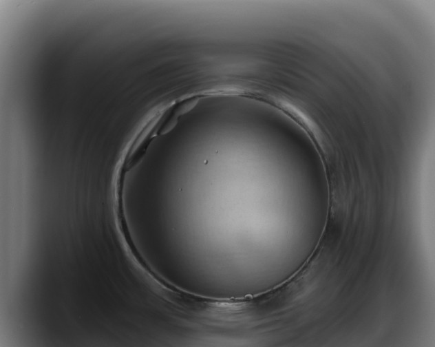 X0000088381483200705291338