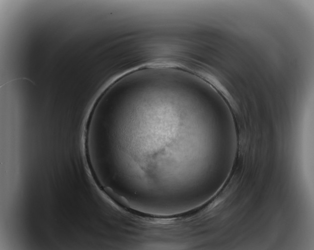 X0000088381484200705291338