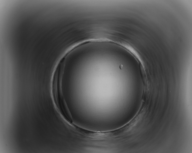 X0000088381485200705291338