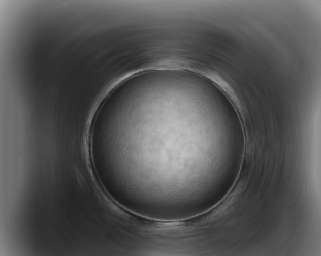 X0000088381486200705291338