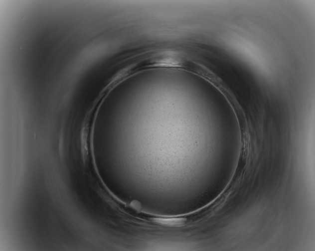 X0000088381487200705291338