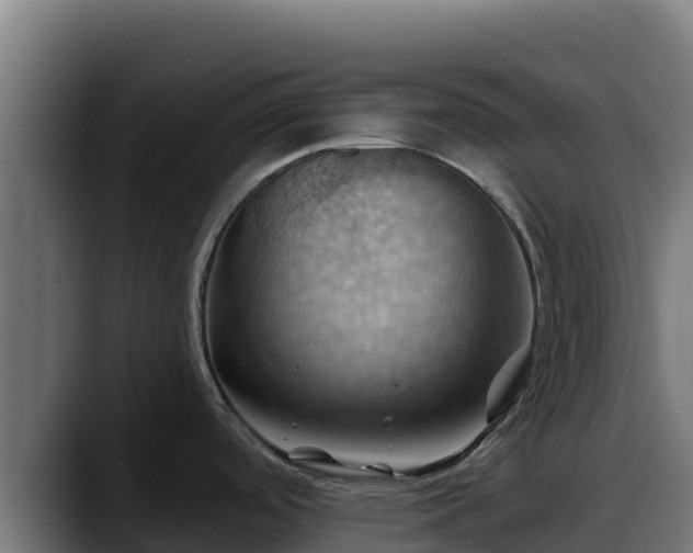 X0000088381488200705291338