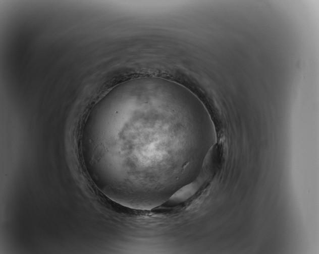 X0000088381489200705291337