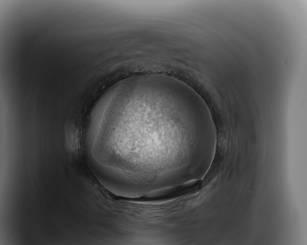 X0000088381490200705291337