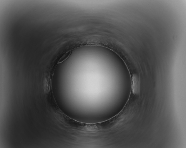 X0000088381491200705291337